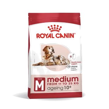 Royal Canin Hundefutterbeutel für mittelgroße Hunde 10+, mit einer Illustration eines Golden Retrievers, die Muskelmasse und lebenslange Vitalität fördert.