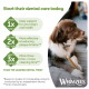 Brown-and-white dog chewing a dental treat next to 'Start dental care' and badges Chew 1x, Cleans 2x, Lasts 3x Whimzees