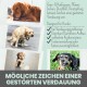 Bild mit verschiedenen Hunden und Text, der Anzeichen von Verdauungsproblemen bei Haustieren diskutiert. Enthält Tipps zur Behebung dieser Probleme.