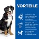 Ein glücklicher schwarz-weißer Hund mit rotem Halsband sitzt links von einem Text auf blauem Hintergrund: "VORTEILE" und drei Gesundheitsvorteilen.