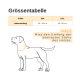 Größentabelle für Hundehalsbänder, die die Größen S/M (30-46 cm) und L/XL (46-66 cm) zeigt, mit einer Illustration eines Hundes und Maßanweisungen.