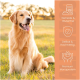 Golden Retriever sitzt auf Gras mit deutschem Text über getreidefreies, hochwertiges, Premium-Monoprotein-Tierfutter.