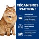 Un chat orange duveteux avec un collier bleu est assis à côté d'un texte énumérant les avantages de la nourriture pour chats comme l'appétit amélioré et les acides gras Omega-3.