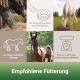 Pferde im Stall und beim Grasen, mit Symbolen und Text zu Fütterungstipps und "Empfohlene Fütterung."