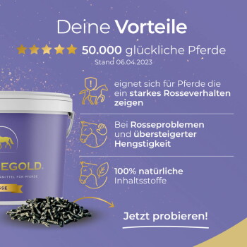 Lila Pferdeergänzungsdose und Pellets mit deutschem Text: 'Deine Vorteile', '50.000 glückliche Pferde', 'Jetzt probieren!'