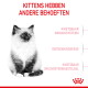 Donzig kitten links; Nederlandse kop 'Kittens have different needs'; zijlabels: immuunsysteem, spijsvertering, ontdekking; rood logo.