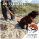 Person hält eine orange verstellbare 2m Hundeleine, die an einem braunen Hund befestigt ist, der auf sandigem Gras sitzt.