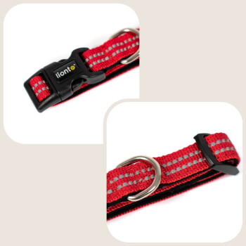 Rotes reflektierendes Hundehalsband mit Metall-D-Ring und schwarzem Kunststoffverschluss mit der Beschriftung 'liont'.