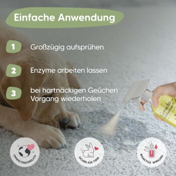 Eine Hand hält eine Sprühflasche mit der Aufschrift "Caruchs" und sprüht einen Teppich in der Nähe eines schlafenden Welpen. Textanweisungen auf Deutsch erläutern die Anwendungsschritte.