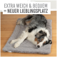 Ein entspannter Australian Shepherd liegt auf einem weichen grauen Haustierbett, mit dem Text "EXTRA WEICH & BEQUEM = NEUER LIEBLINGSPLATZ" darüber.