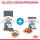 Royal Canin Urinary Care kattenvoer verpakking met droge brokjes en natvoer, gelabeld "Volledig Voedingsprogramma" en "Proven Results in 10 Days."