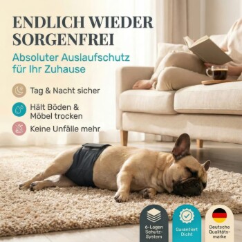 Schlafende Französische Bulldogge in schwarzem Bauchband auf Teppich; deutscher Text 'ENDLICH WIEDER SORGENFREI' und Produkt‑Badges.