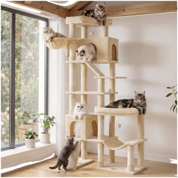 Beiger mehrstufiger Kratzbaum am Fenster mit sechs entspannten Katzen, Kratzrampe, Hängematte und hängendem Spielzeug; kein sichtbarer Text.