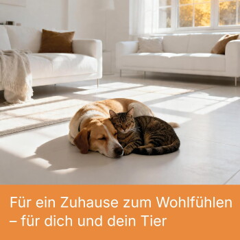 Corgi-Hund liegt auf Holzboden neben einem Staubsaugerschlauch, mit Text „Passend für alle herkömmlichen Staubsaugertypen und Sticks.“