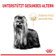 Ein stilvoller Hund mit langem Haar und einer Schleife, begleitet von dem Text "UNTERSTÜTZT GESUNDES ALTERN" und "Schönes Fell & gesunde Haut."