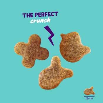 Three brown kibble pieces on teal background with a purple bolt, text "THE PERFECT crunch" and a 12mm size indicator.