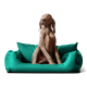 Ein brauner Hund, der auf einem lebhaft grünen Haustierbett mit plüschigen Kissen aufrecht sitzt und aufmerksam zur Seite schaut.