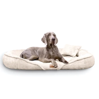 XENIA - Orthopädisches Hundebett / Hundesofa creme 1,15 m, 20 cm, 90 cm Ein grauer Weimaraner-Hund, der auf einem plüschigen, cremefarbenen Haustierbett mit einem kleinen passenden Kissen entspannt.