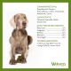 Ein Hund hält ein grünes Kau-Spielzeug, mit einem Produktetikett, das Zutaten und Fütterungsanweisungen auf Deutsch zeigt.