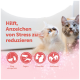 Twee kittens met Duitse tekst 'Helpt tekenen van stress te verminderen' en pictogrammen 'Weg blokkeren', 'Jagen', 'Vechten', 'Aanstaren'.