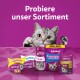 Eine verspielte graue Katze schaut hinter bunten Whiskas-Produkten hervor, mit "Probiere unser Sortiment" darüber.