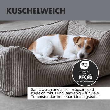 Orthopädisches Hundebett mit Memory-Schaum-Technologie, mit einem plüschigen grauen Äußeren und einem blauen konturierten Schaumkissen.