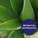 Nahaufnahme von grünen Aloe-Vera-Blättern mit einem kreisförmigen Überlagertext, der "Mit Aloe Vera und Hamamelis" liest.