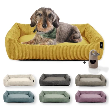 Hundebett waschbar, robuster Breit-Cordstoff mit Gratis-Beigabe Ein gemütliches gelbes Haustierbett mit einem Dackel in einem grünen Halstuch, umgeben von bunten Betten und einem beigen Abfallbeutelspender.