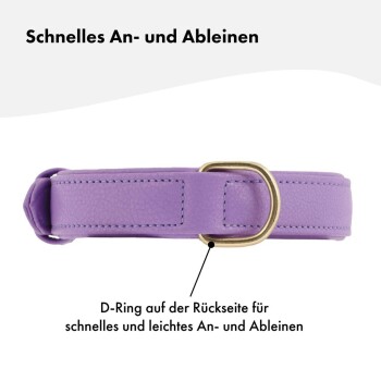Lila Hundehalsband mit einem D-Ring auf der Rückseite für schnelles Anbringen und Abnehmen, mit deutschem Text, der seine Funktion erklärt.