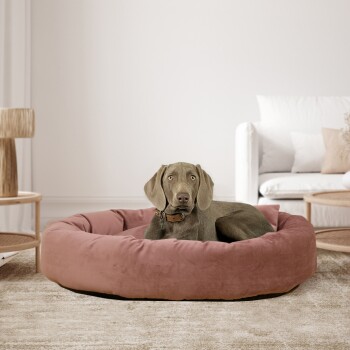 Ein grauer Hund ruht sich in einem plüschigen, runden rosa Hundebett in einem modernen Wohnzimmer mit hellen Möbeln und Dekor aus.