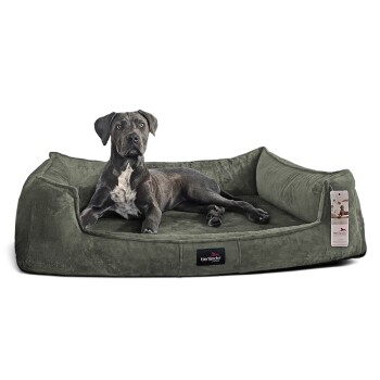 Ein schwarz-weißer Hund, der auf einem plüschigen, olivgrünen Haustierbett mit erhöhten Rändern liegt, mit einem Etikett, das "tierlando" liest.