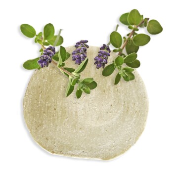 Shampoo NATURAL PROTECTION