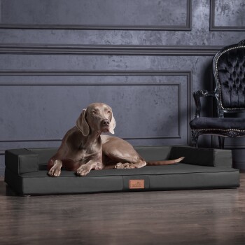 ® Orthopädisches Design Hundesofa GIBSON VISCO Kunstleder kubische Form schwarz/ graphit 1 m, 22 cm, 80 cm