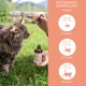 Eine Person gibt einem neugierigen Kater draußen Lachsöl, mit einer sichtbaren Flasche, die "Lachsöl" beschriftet ist und Dosierungsanweisungen enthält.