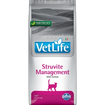 VetLife Struvite Management Katzenfutter, 2 kg Beutel, mit grünem Etikett, das "Futter für Katzen" und eine Silhouette einer Katze zeigt.