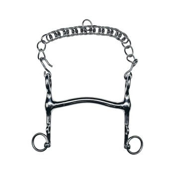 Ein glänzendes Metallpferdegebiss mit einer Kette, das eine gebogene Mundstück und zwei Ringe auf jeder Seite zum Befestigen der Zügel hat.
