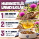 Ein kastanienbraunes Pferd mit einem weißen Stern auf der Stirn steht zwischen hohem Gras und bunten Wildblumen in einem üppigen grünen Feld.