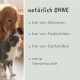 Ein Golden Retriever schnuppert an einer grauen Katze neben dem Text: "natürlich OHNE" mit Eigenschaften: keine Silikone, Farbstoffe, Duftstoffe oder Tierversuche.