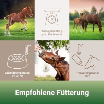 Ein verspieltes Fohlen läuft auf einem Feld mit Fütterungstipps: "200 g/L Wasser", "Lösungs-temperatur: 42-45 °C", "Tränke-temperatur: 38 °C."