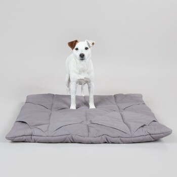 Ein weißer Hund steht auf einem großen, grauen Haustierbett mit einem gesteppten Design, vor einem schlichten Hintergrund.