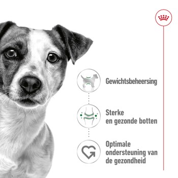Afbeelding van een hond met tekst: 'Gewichtsbeheersing', 'Sterke en gezonde botten', 'Optimale ondersteuning van de gezondheid.'