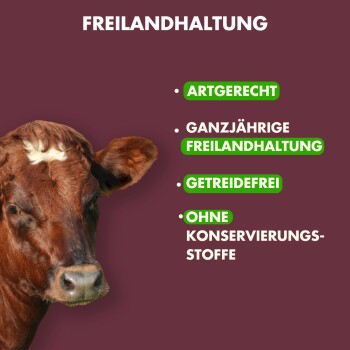 Nahaufnahme des Gesichts einer braunen Kuh auf dunkellila Hintergrund mit Text: "FREILANDHALTUNG," "ARTGERECHT," "GETREIDEFREI," und mehr.