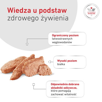 Kawałki mokrej karmy dla zwierząt; tekst: 'Podstawy zdrowego żywienia'; wyróżnienia: ograniczona ilość węglowodanów, wysokobiałkowa, wybrane składniki odżywcze