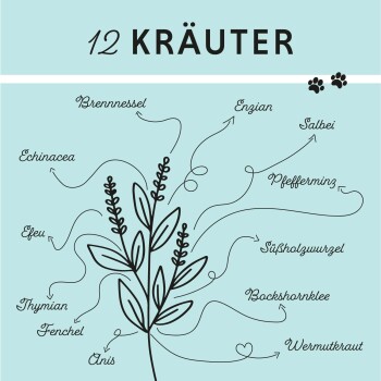 Ein Beagle auf einem hellen Boden neben Text über ätherische Öle für die Atemgesundheit, mit "ANIMALILY"-Logo und "OHNE ALKOHOL!" oben.