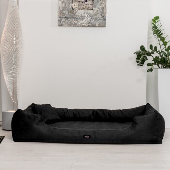 Schwarzes Haustierbett mit erhöhten Rändern, auf hellen Holzböden platziert, neben einer modernen Lampe und einer Topfpflanze.