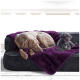 Ein grauer Weimaraner schläft auf einem schwarzen Sofa, das mit einer lila Decke bedeckt ist, neben einem kleinen schwarzen Pudel, der aufrecht sitzt.