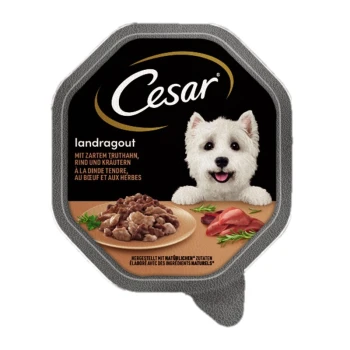 Landragout Truthahn, Rind und Kräutern 14x150 g