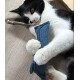 Schwarz-weiße Katze auf dem Boden hält ein blaues Stoffspielzeug, Pfoten und rosa Nase sichtbar.