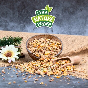 Eine Holzschüssel mit bunten Samen und Körnern, die auf Jute verstreut sind, mit einer Schaufel, einer Blume, Grünpflanzen und dem Logo "LYRA NATURE POWER".