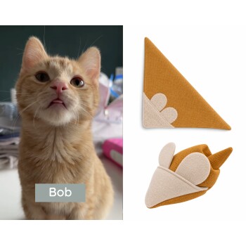 Oranges Tigerkätzchen namens Bob neben einem orangenen dreieckigen Haustierhalstuch mit beiger Pfotenapplikation